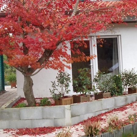 Apartamento Haus Magnolia 2 Kandern Exterior foto