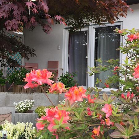 Apartamento Haus Magnolia 2 Kandern Exterior foto
