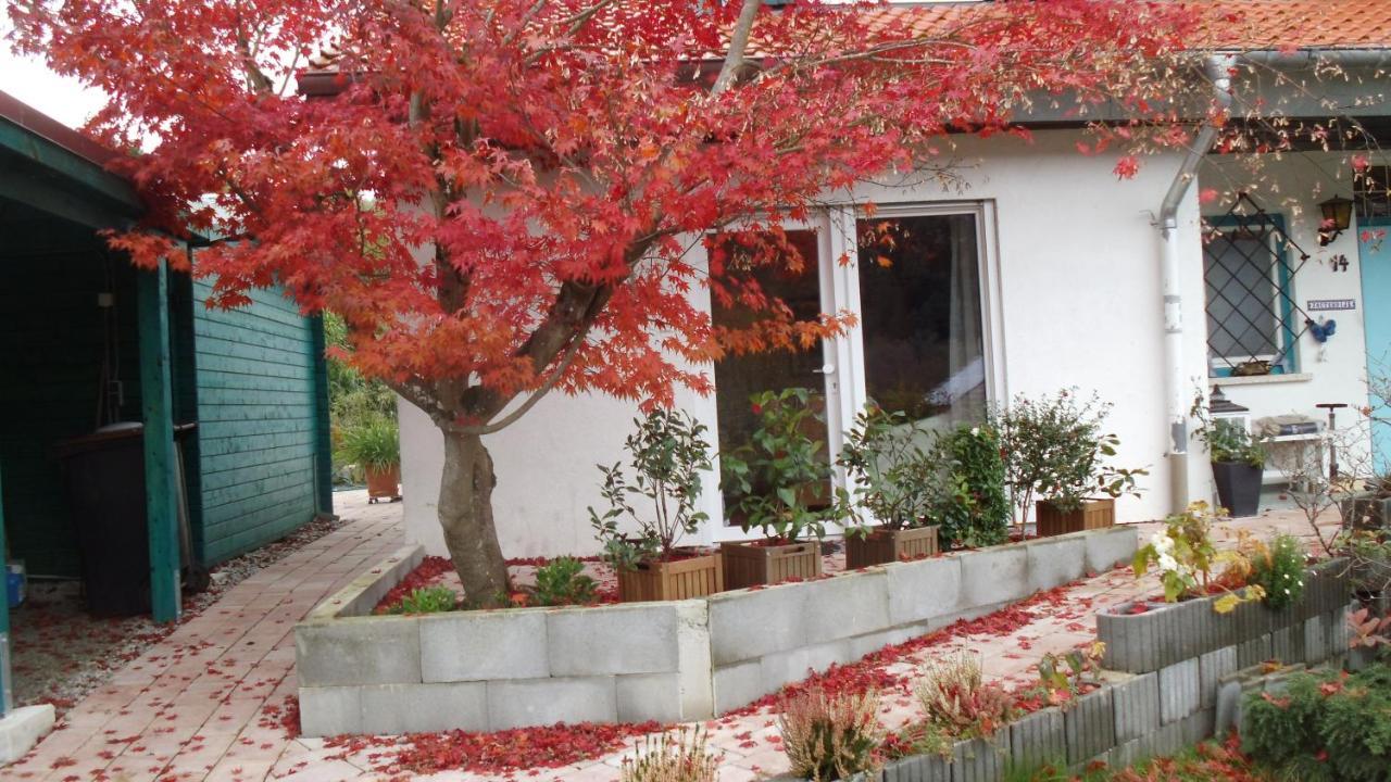 Apartamento Haus Magnolia 2 Kandern Exterior foto